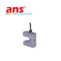dse-31-maxcess-viet-nam.png